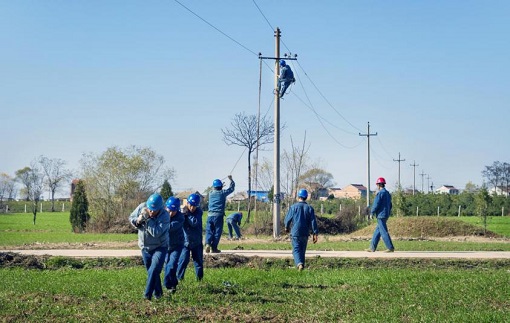 一张网 一盘棋 一条心 