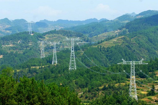 一张网 一盘棋 一条心 