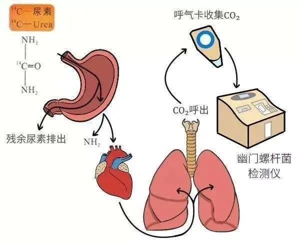 和1.jpg