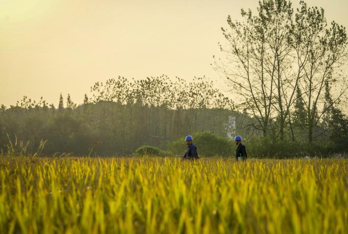 0901下午05.jpg 0901下午05.jpg